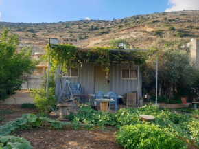 Olive tiny house 2